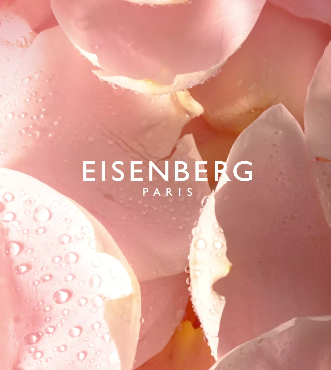 videowise-widget-67f3f1c9531b2b00577c04e2-9360629301557