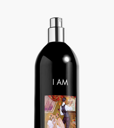 Coffret I AM